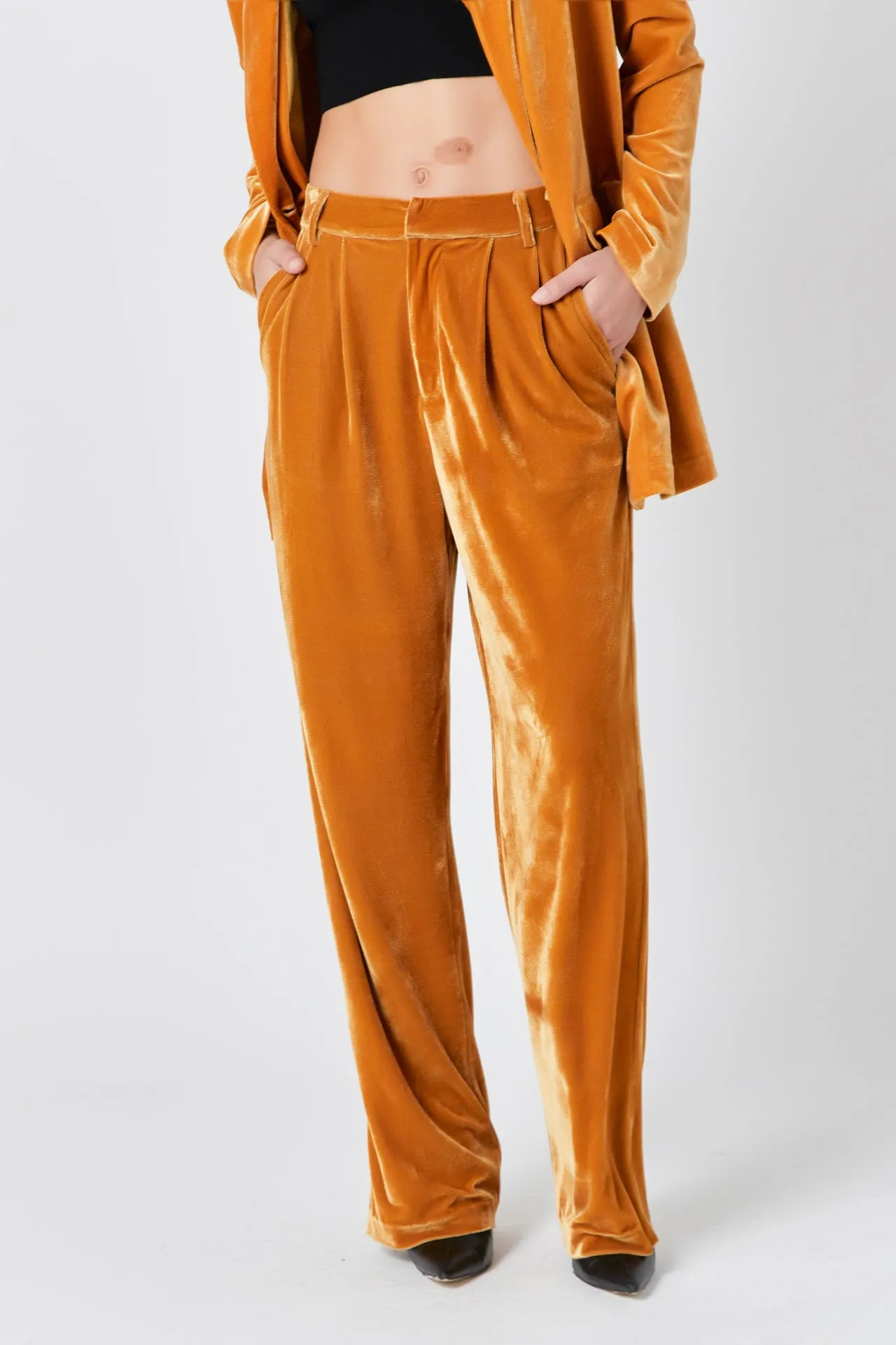 Velvet Wide Leg Pants